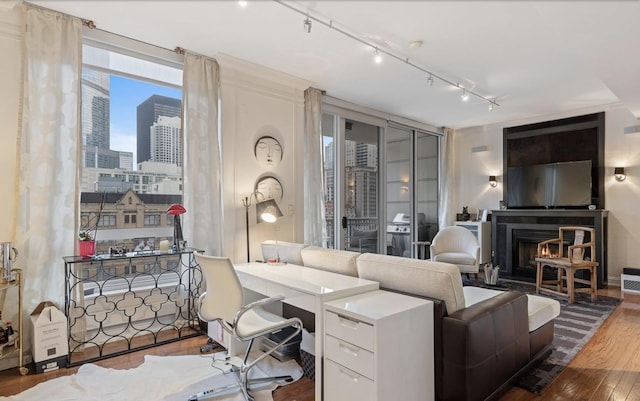 interior space featuring a lit fireplace, a city view, and wood finished floors