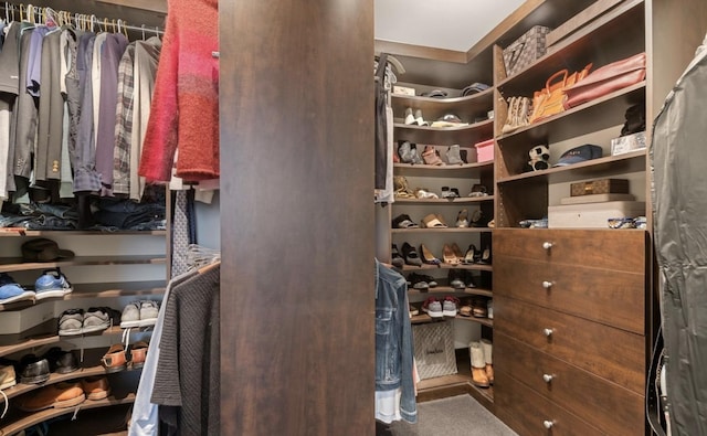 spacious closet with carpet flooring
