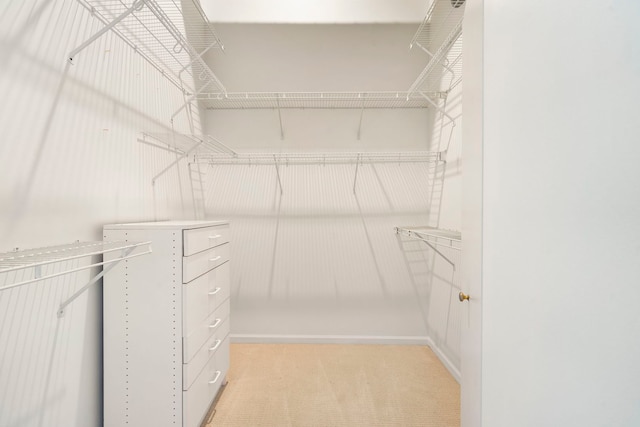 walk in closet featuring light colored carpet