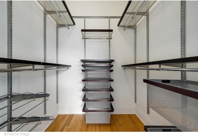walk in closet featuring wood finished floors