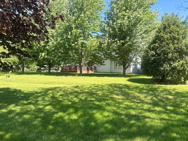 23931 Greenfield Ct, Plainfield, IL 60585 - photo 32