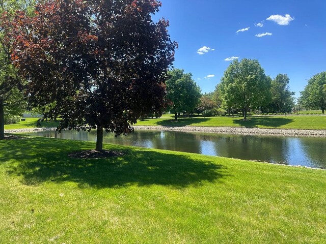 23931 Greenfield Ct, Plainfield, IL 60585 - photo 33