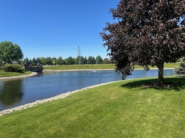 23931 Greenfield Ct, Plainfield, IL 60585 - photo 34