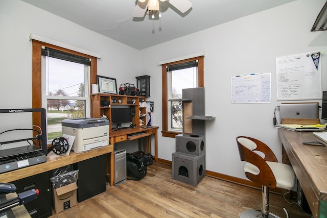 office area featuring ceiling fan, baseboards, and light wood-style floors
