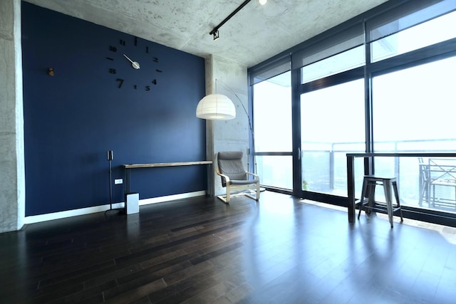 spare room with a healthy amount of sunlight, wood finished floors, floor to ceiling windows, and baseboards