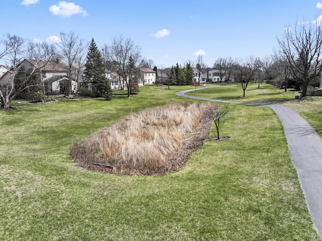 view of property's community with a yard and a residential view