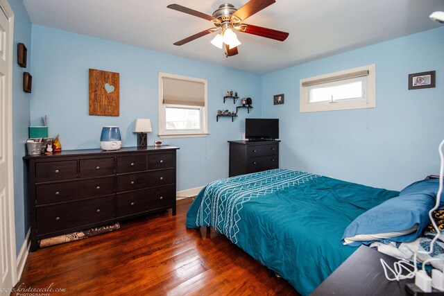 536 Evergreen Ln, Bradley, IL 60915 - bedroom with ceiling fan, baseboards, and wood finished floors
