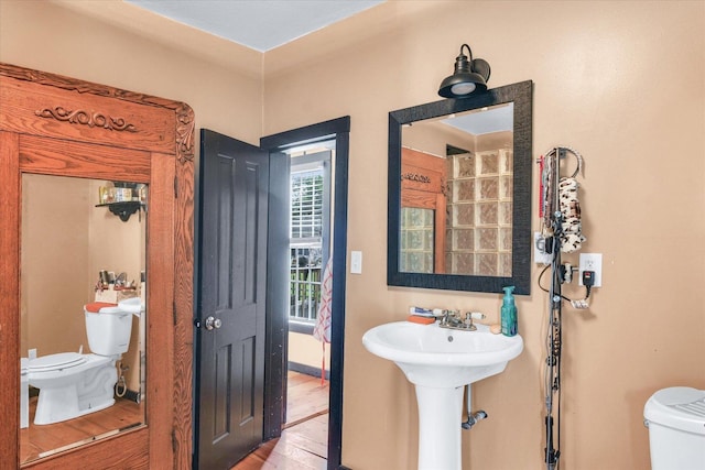 bathroom with toilet, a sink, and wood finished floors