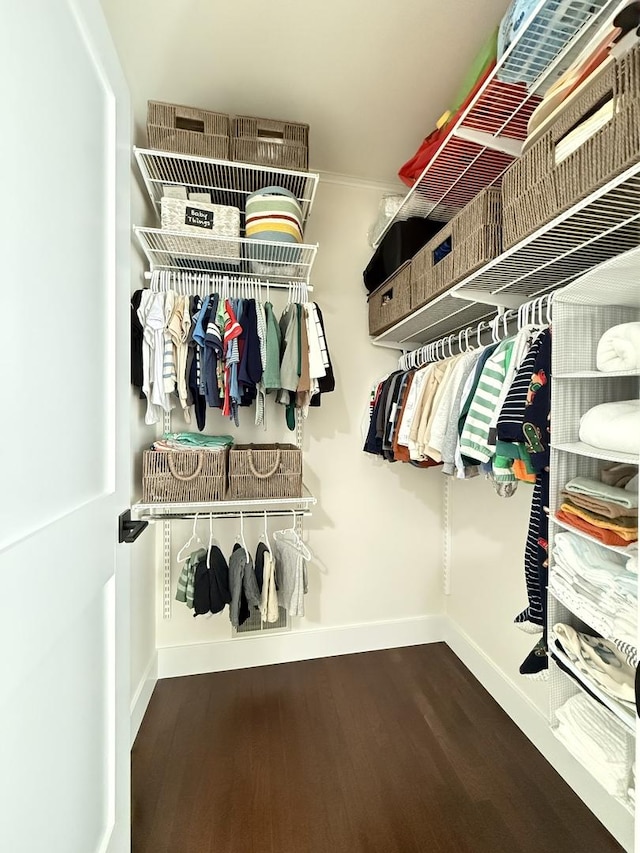 spacious closet with wood finished floors