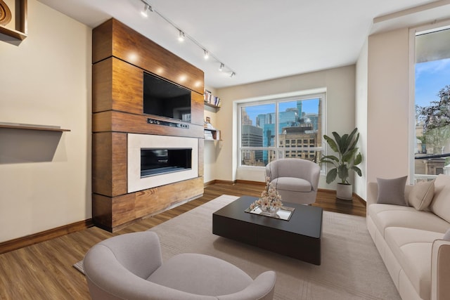 living room with wood finished floors, a fireplace, baseboards, and rail lighting