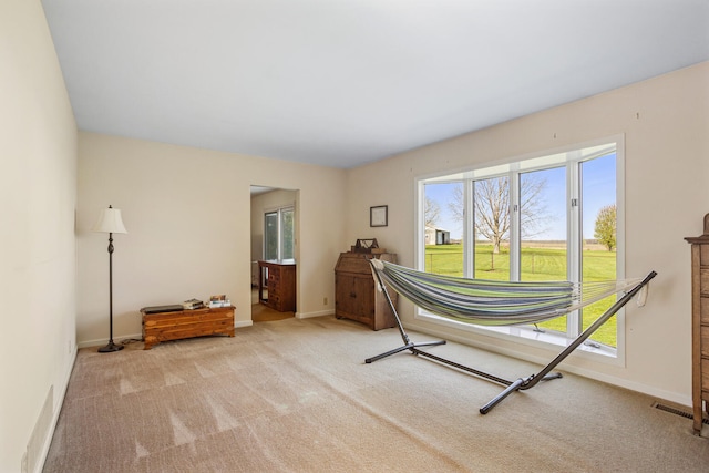 interior space featuring baseboards, a healthy amount of sunlight, and carpet