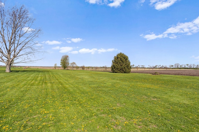 view of yard featuring a rural view