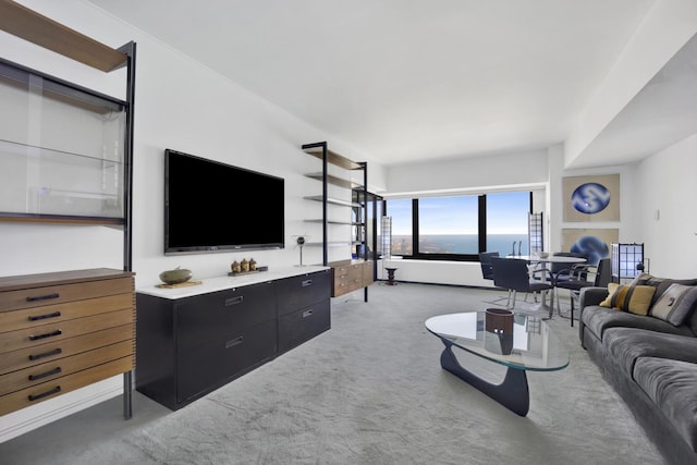 175 E Delaware Pl Unit 5803, Chicago, IL 60611 - living area with light carpet