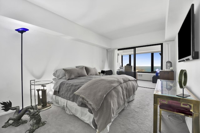 175 E Delaware Pl Unit 5803, Chicago, IL 60611 - carpeted bedroom with access to exterior