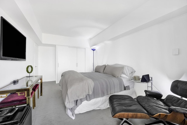 175 E Delaware Pl Unit 5803, Chicago, IL 60611 - carpeted bedroom with a closet