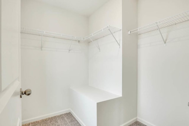 spacious closet with carpet flooring