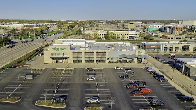 bird's eye view