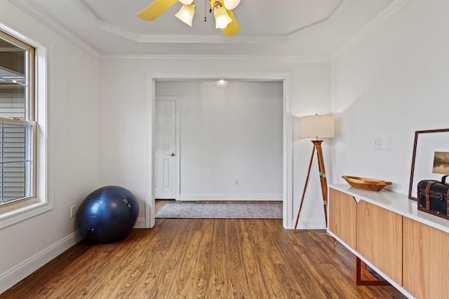 1318 Ridge Pointe Dr, Monticello, IL 61856 - exercise room with baseboards, a tray ceiling, ceiling fan, and dark wood finished floors