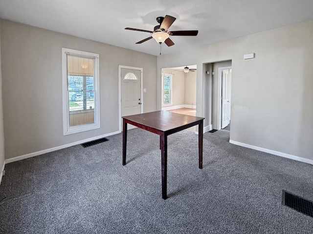 732 S 14th Ave, Freeport, IL 61032 - unfurnished office with a healthy amount of sunlight, baseboards, and visible vents