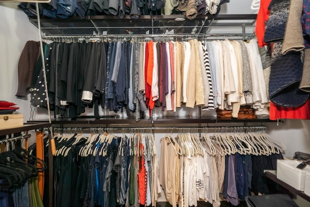 view of walk in closet