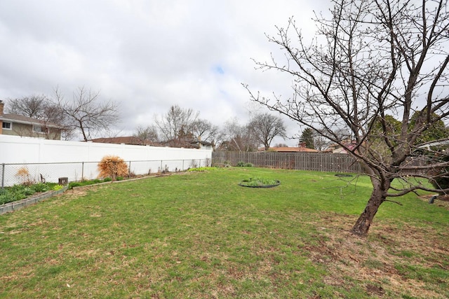 view of yard featuring a fenced backyard