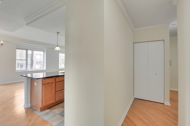 2317 W Wolfram St Unit 211, Chicago, IL 60618 - corridor with light wood-style flooring, crown molding, and baseboards