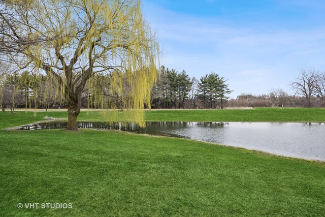 9182 Falcon Greens Dr, Lakewood, IL 60014 - photo 30