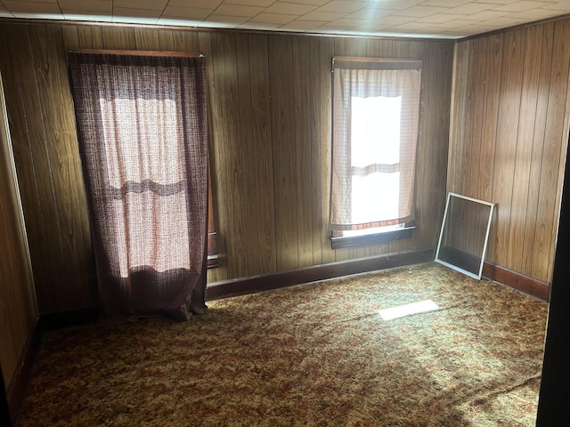 carpeted empty room with wooden walls and baseboards