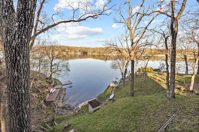 1120 Windy Hill Ct, Varna, IL 61375 - photo 31