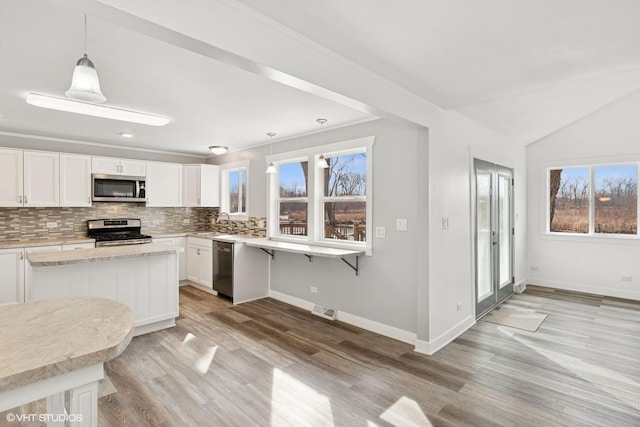 kitchen with plenty of natural light, light wood-style flooring, and stainless steel appliances