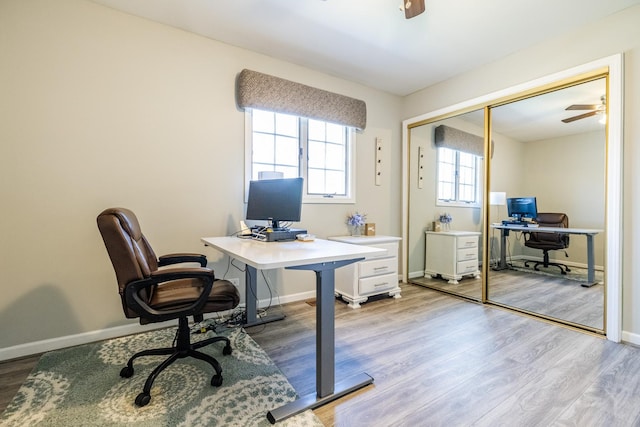8001 William Dr, Willowbrook, IL 60527 - office space featuring wood finished floors, baseboards, and a ceiling fan