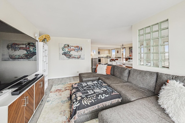 living area with wood finished floors