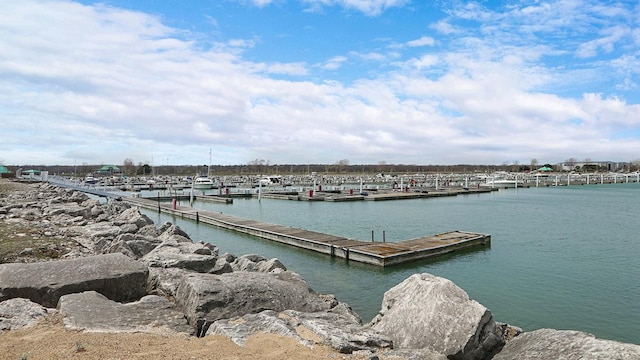dock area with a water view