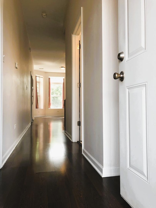 3436 S Wallace St, Chicago, IL 60616 - hall with baseboards and dark wood-style floors