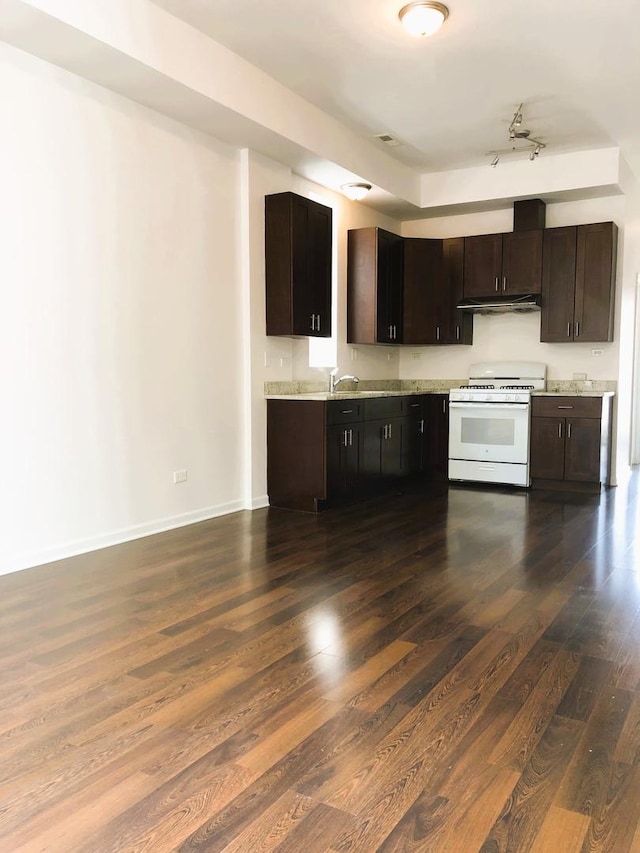 3436 S Wallace St, Chicago, IL 60616 - kitchen with dark brown cabinets, dark wood-type flooring, baseboards, under cabinet range hood, and gas range gas stove