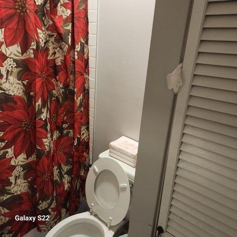 327 W Division, Amboy, IL 61310 - bathroom with toilet and a shower with shower curtain