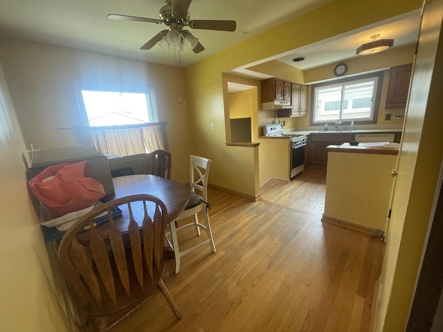 4603 Rose St, Schiller Park, IL 60176 - dining space featuring light wood-style flooring, baseboards, and ceiling fan