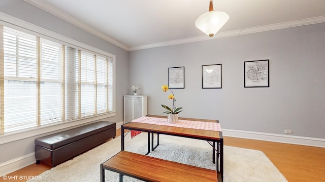 2335 N Commonwealth Ave Unit 2G, Chicago, IL 60614 - office space featuring baseboards, crown molding, and wood finished floors