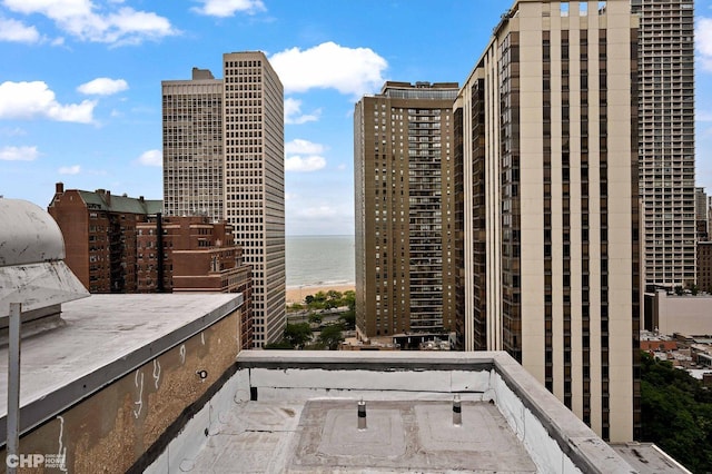 33 E Cedar St Unit 3H, Chicago, IL 60611 - city view featuring a large body of water