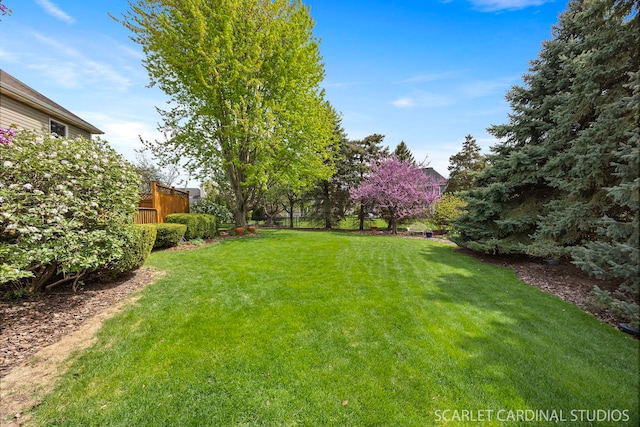 view of yard featuring fence