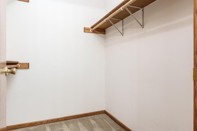 walk in closet with light carpet