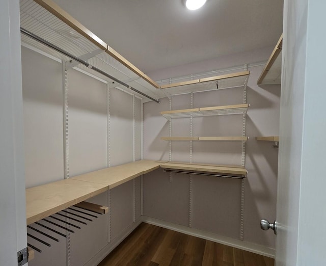 1115 S Plymouth Ct Unit 303, Chicago, IL 60605 - walk in closet with dark wood-style floors