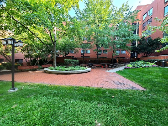1115 S Plymouth Ct Unit 303, Chicago, IL 60605 - view of community with a lawn