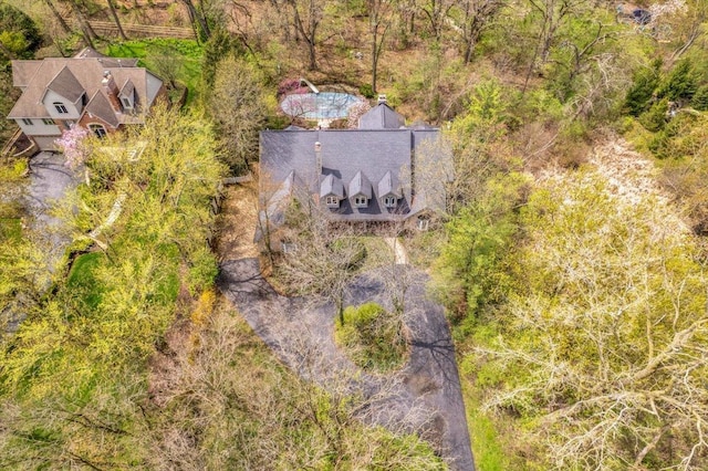 drone / aerial view