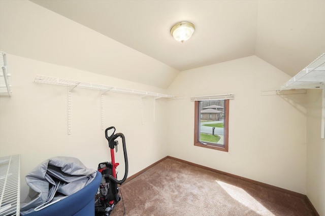 spacious closet with visible vents, lofted ceiling, and carpet