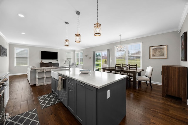 kitchen featuring a sink, ornamental molding, gray cabinets, and dark wood finished floors
