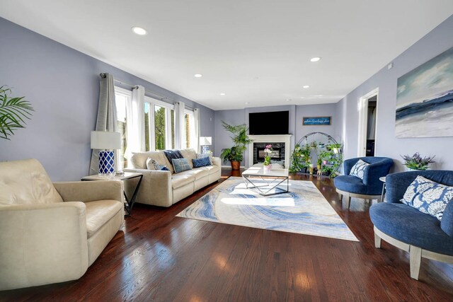 14232 Selva Ln, Orland Park, IL 60462 - living area with dark wood-style flooring, recessed lighting, and a glass covered fireplace
