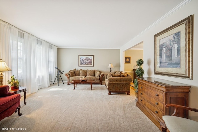 1704 Executive Ln, Glenview, IL 60026 - living room featuring ornamental molding and light carpet