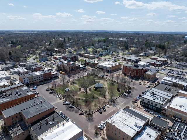 bird's eye view