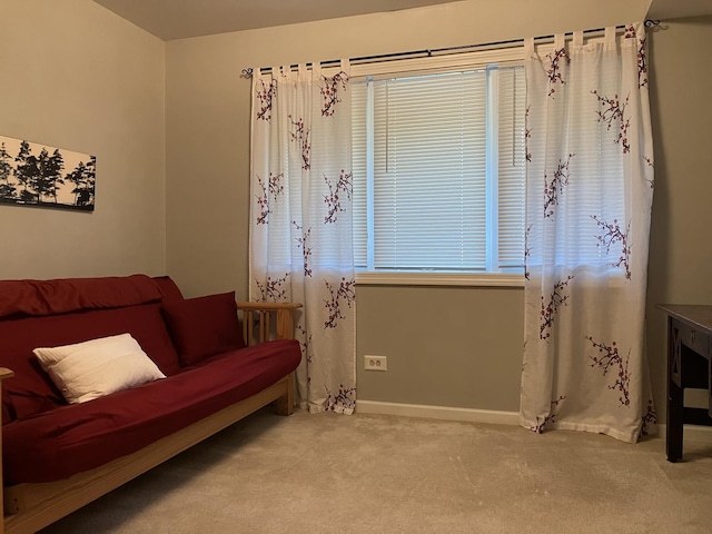 living area with baseboards and carpet floors